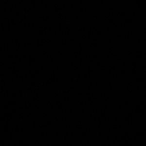 Meet your Posher, Abigail